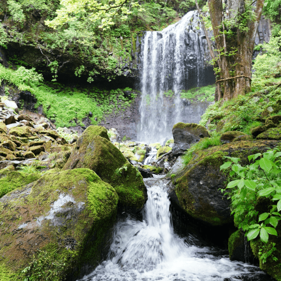 日光霧降高原チロリン村