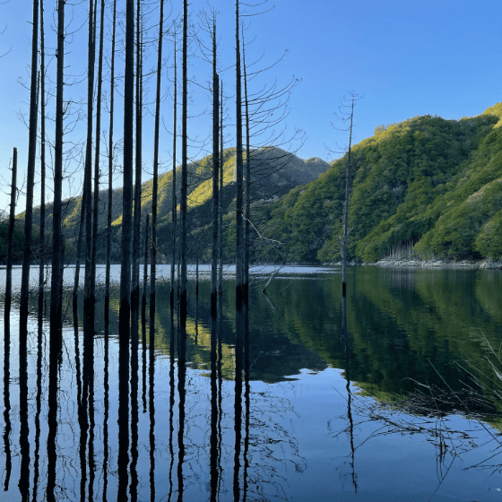 湯西川ダム湖