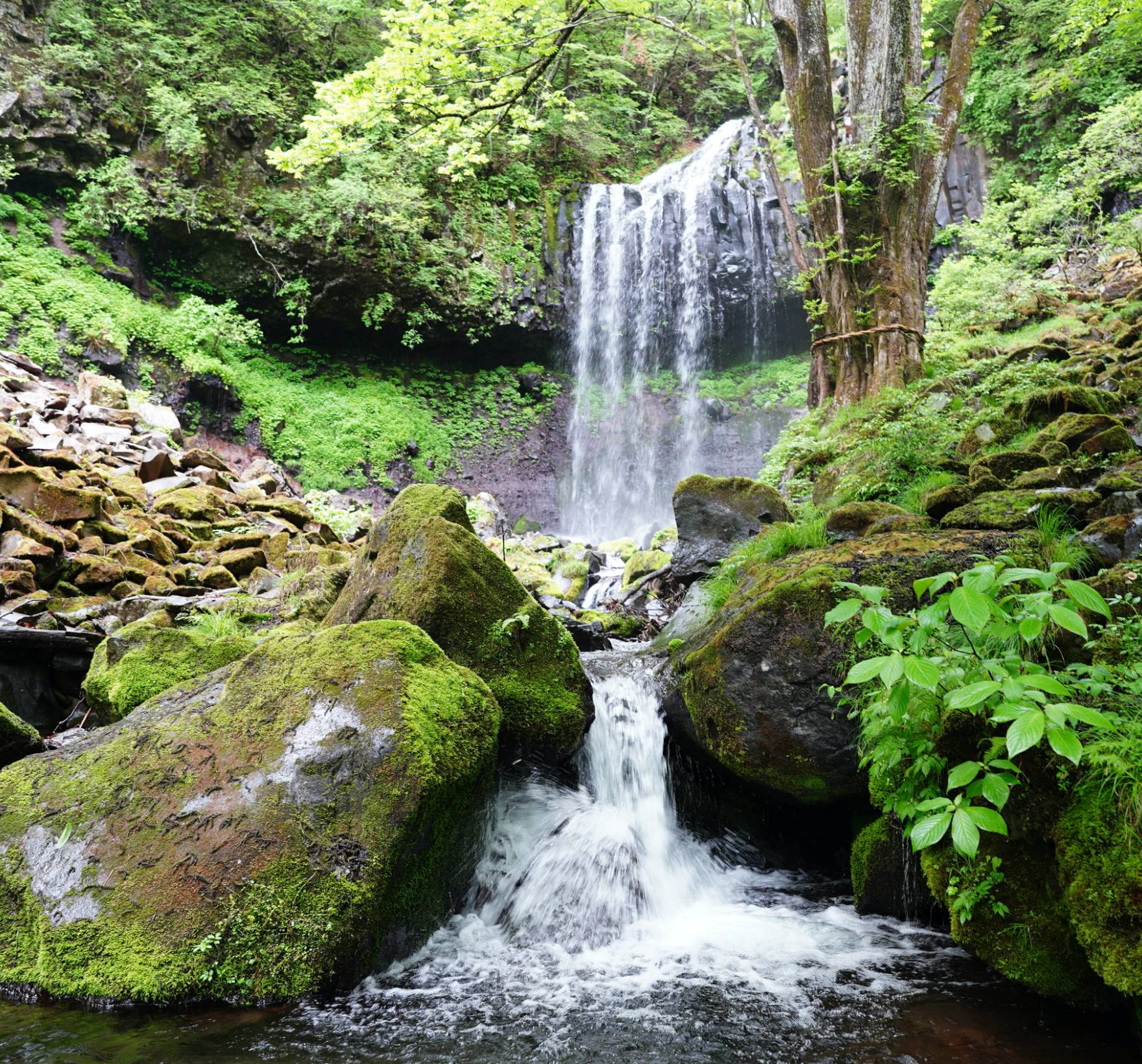 日光霧降高原チロリン村