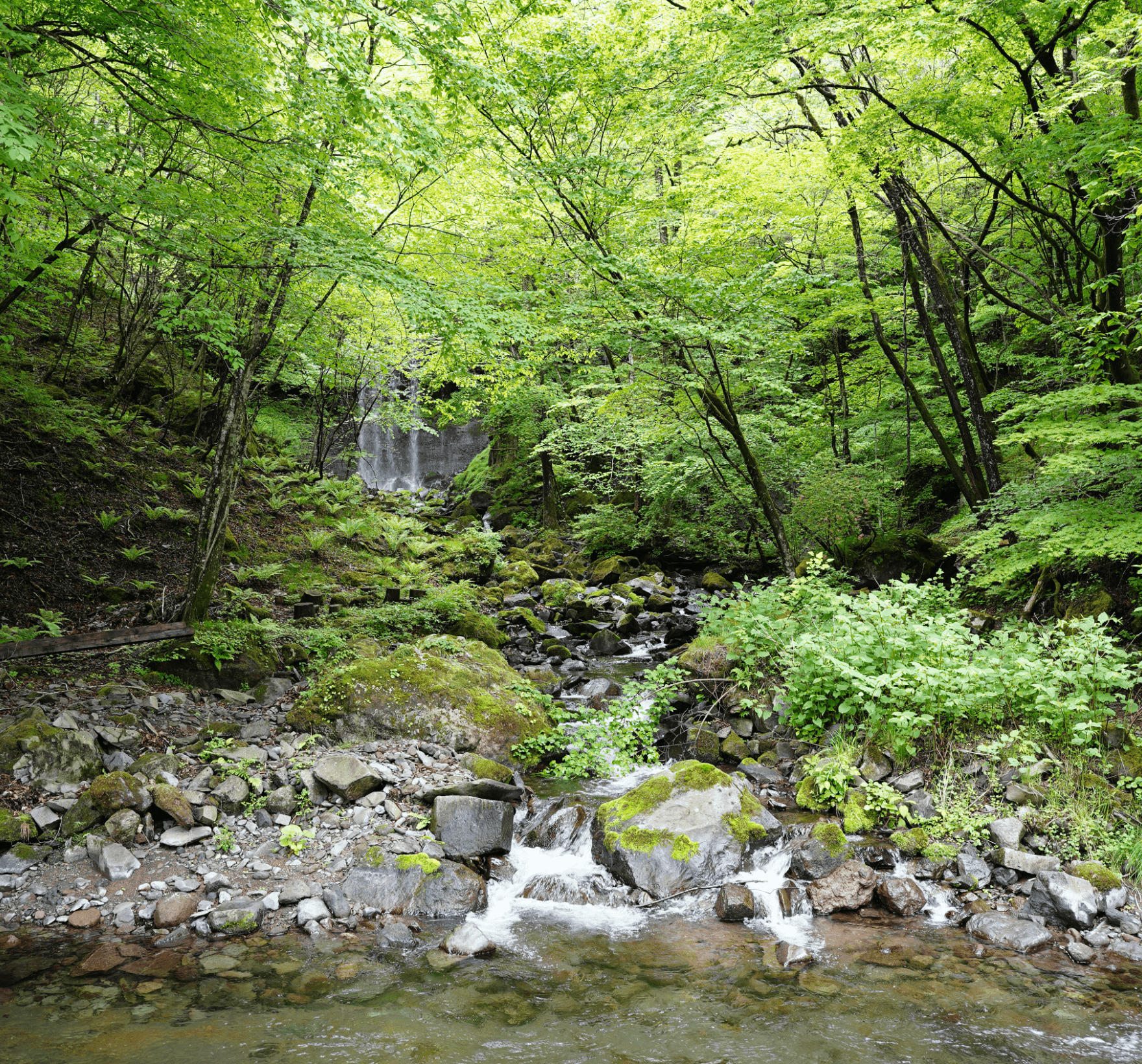 日光霧降高原チロリン村