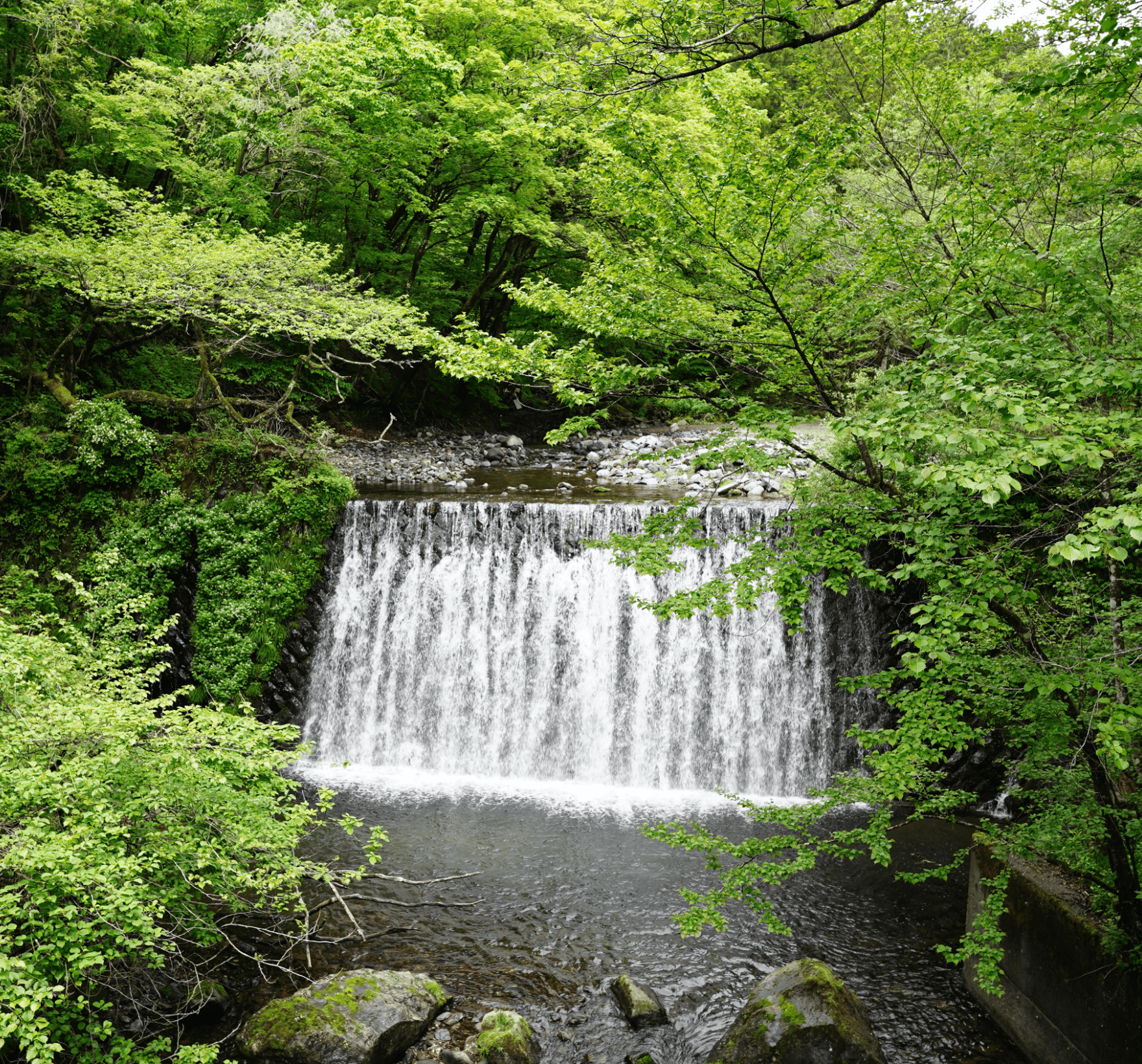 日光霧降高原チロリン村