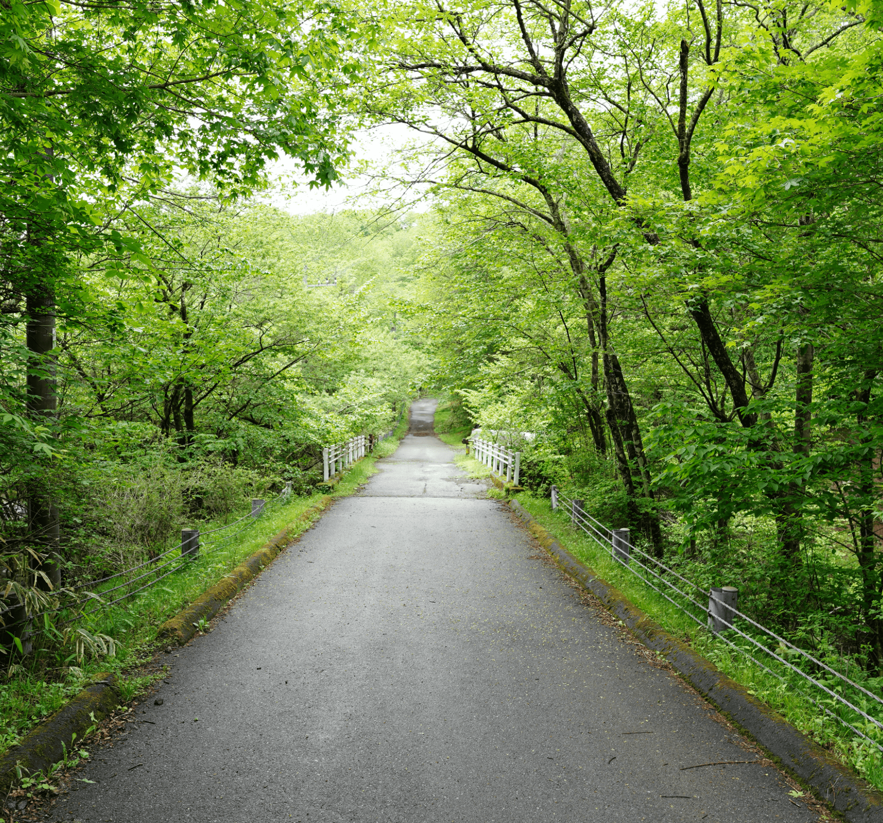 日光霧降高原チロリン村